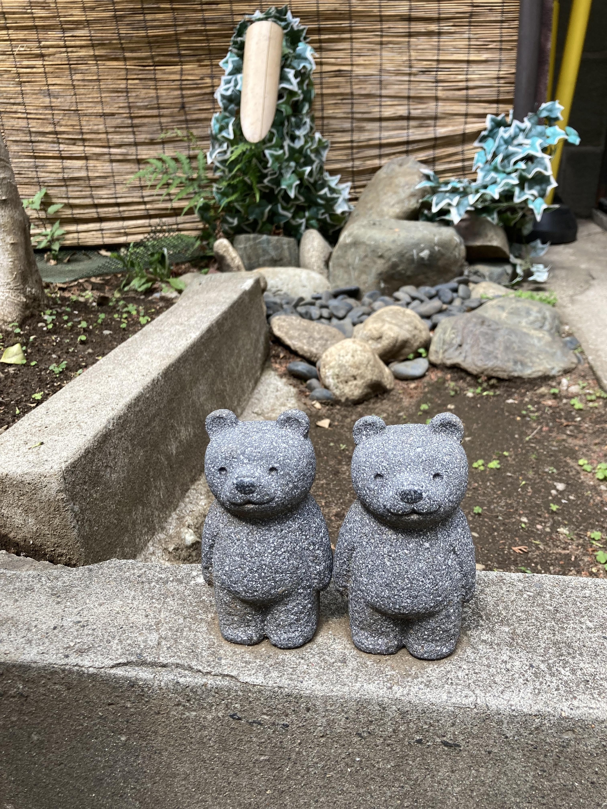 お散歩コース紹介～熊野神社～